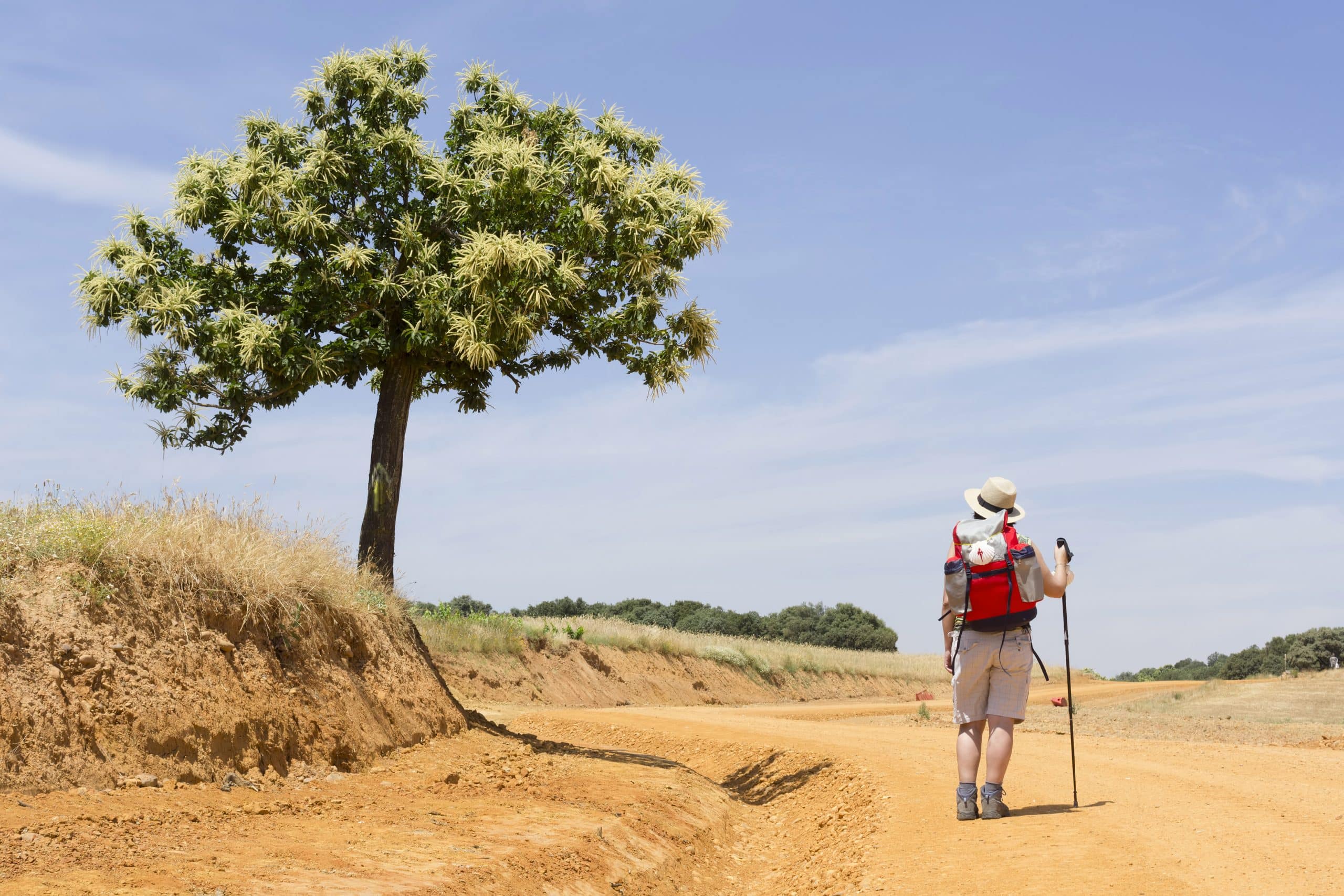 Camino de Santiago from Burgos