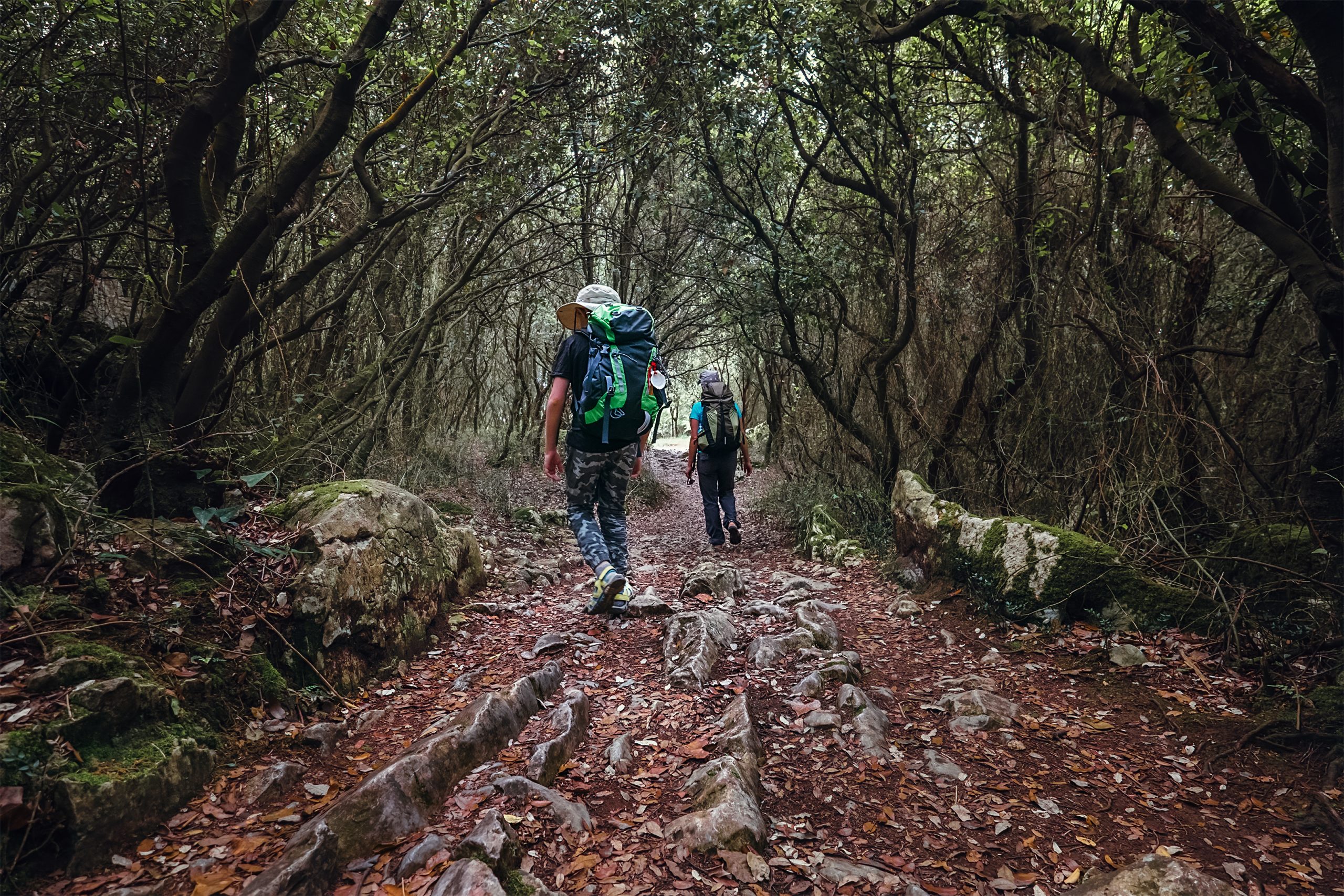 Camino de Santiago from Tui
