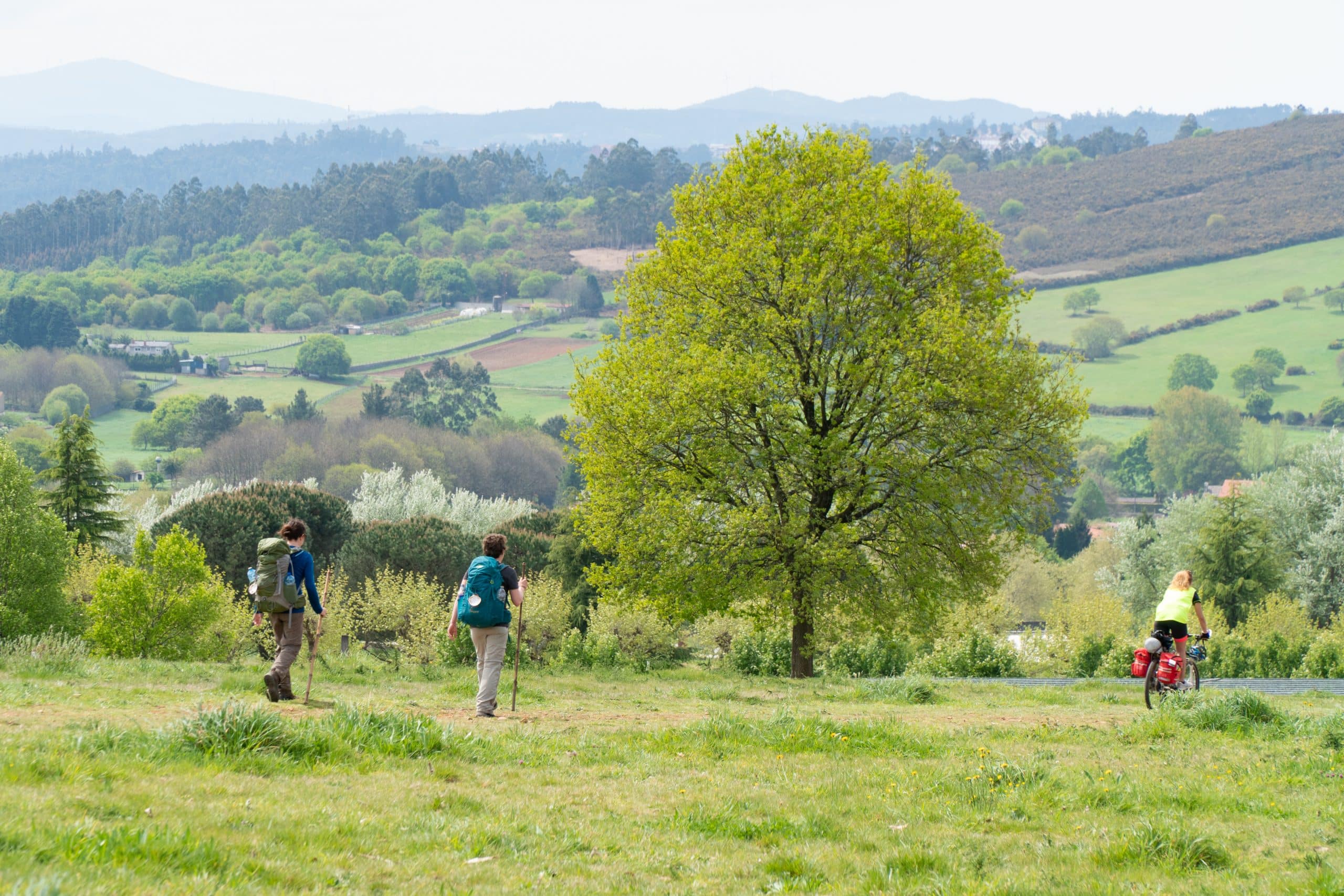 Camino de Santiago from Tui
