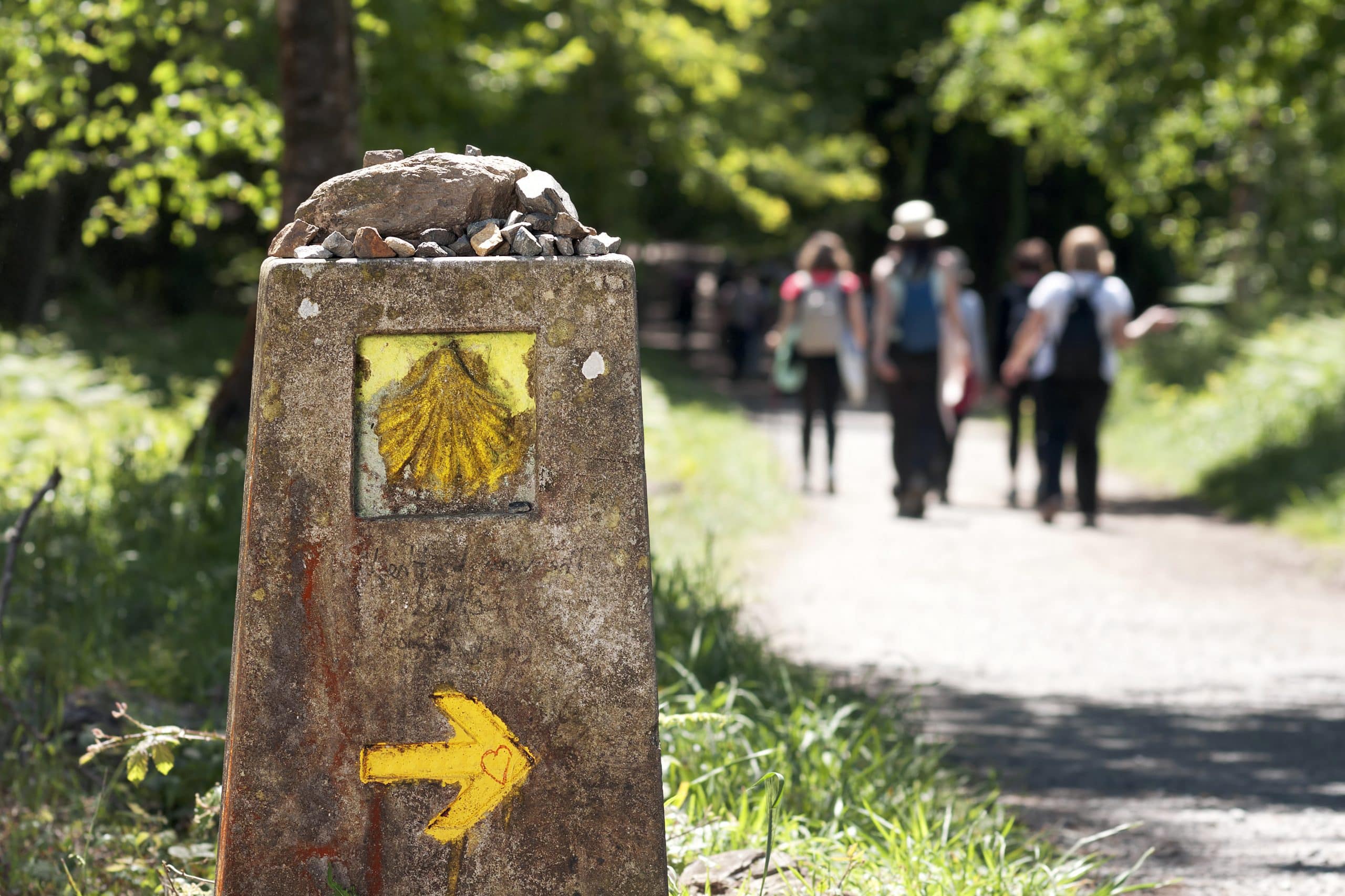 Camino de Santiago in a group from Sarria