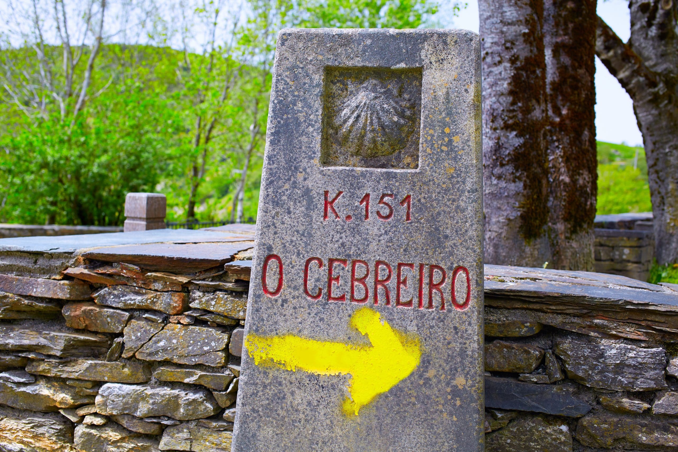 yellow arrow or cebreiro