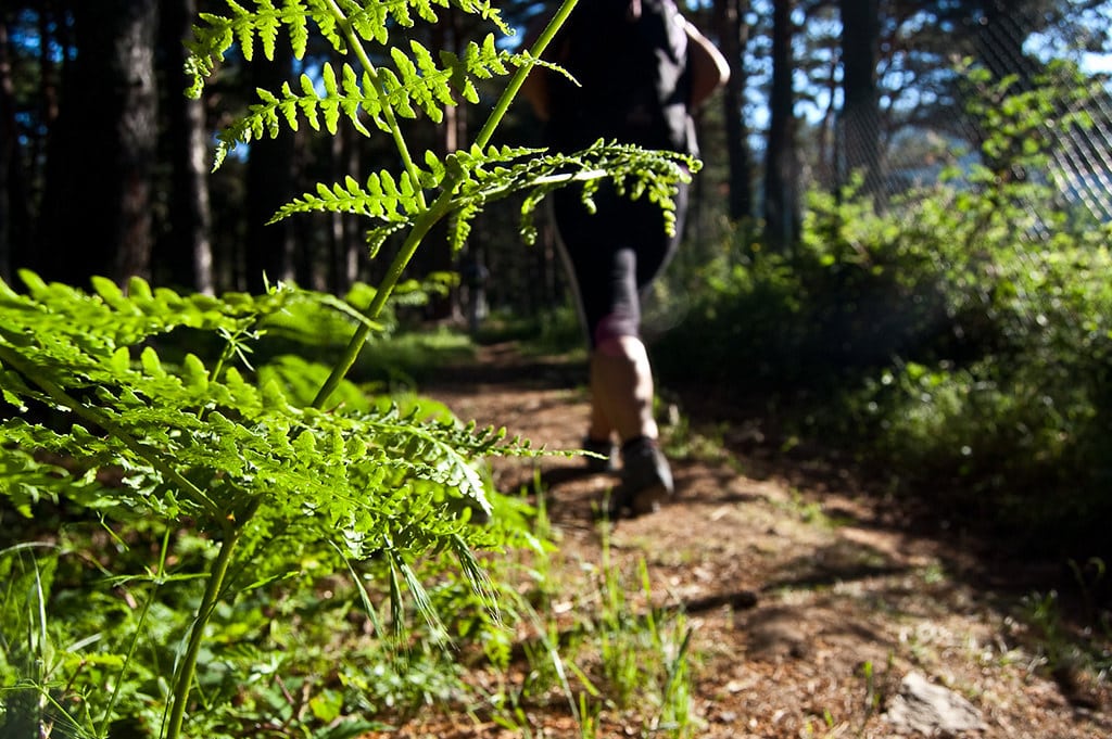Camino de Santiago at Easter