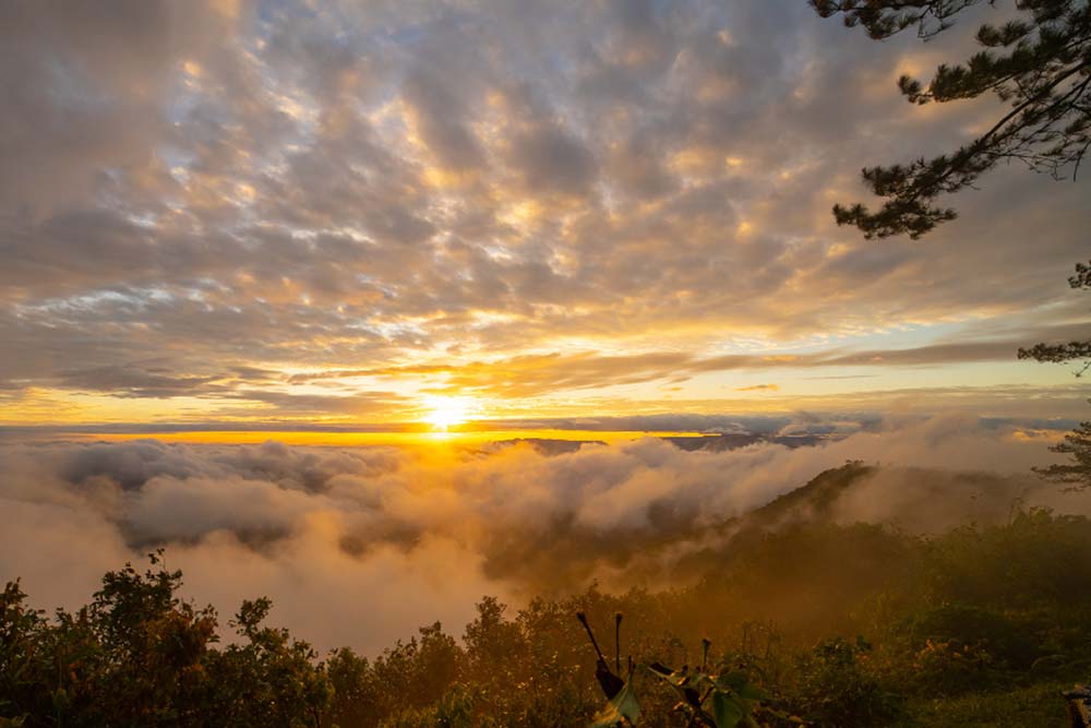Photograph the Camino de Santiago
