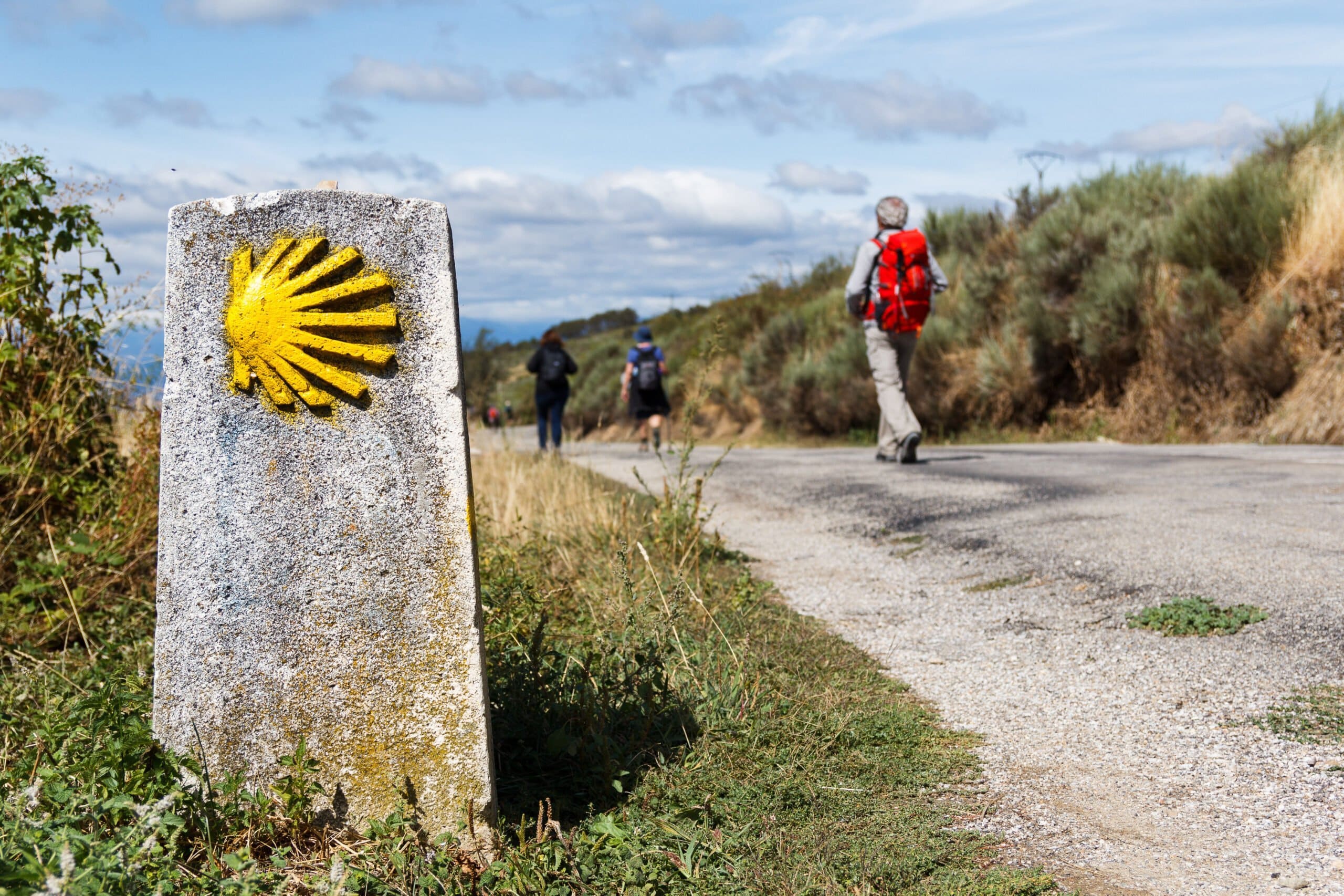 Camino de Santiago from Lugo