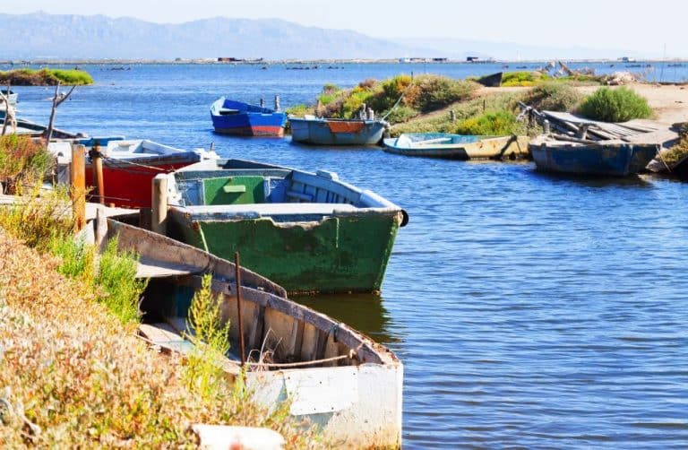 Camino del Ebro - Desembocadura - Mundiplus